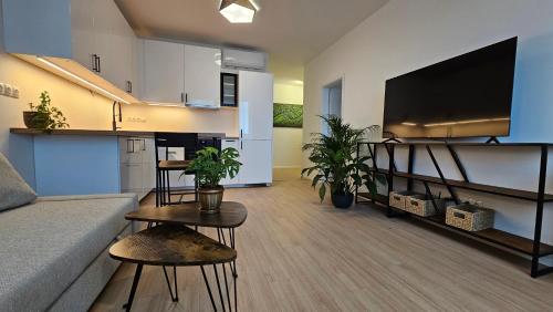 2 room Apartment with terrace, new building, 413