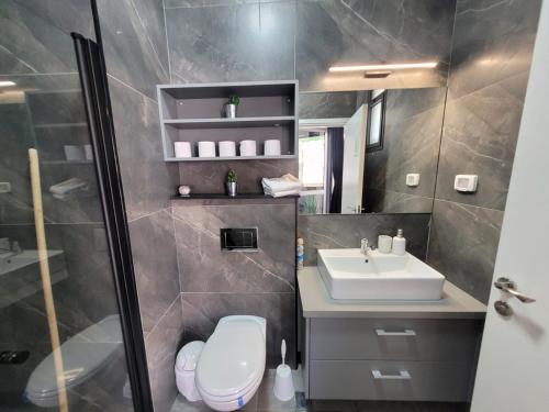 a bathroom with a sink and a toilet and a shower at Yalarent Melody- Suites with privat pools in Migdal