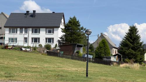 a house in a field with a street light at Ferienwohnung Wiesenblick in Seiffen in Kurort Seiffen