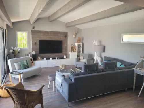 uma sala de estar com um sofá e uma televisão em Maison avec piscine, oliviers, belle vue, au calme em Trans-en-Provence