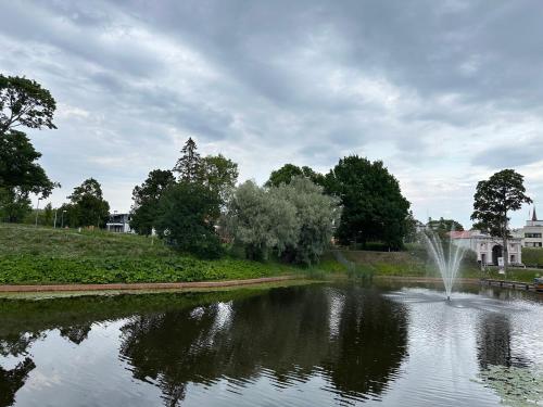 a pond with a fountain in the middle of a park at Muru 1 Apartment, Rannarajoon, contact-free entrance in Pärnu