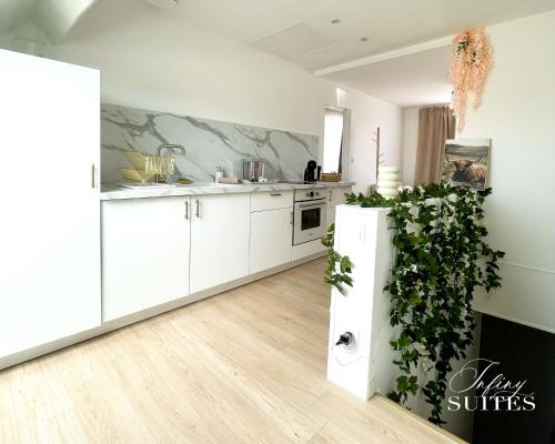 a kitchen with white cabinets and a green plant at Naturally Suite in Calais
