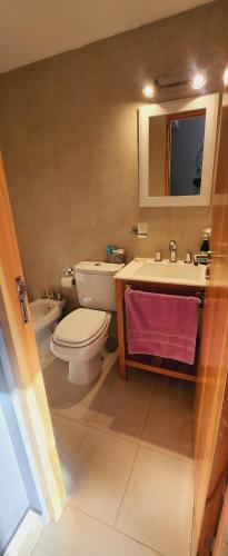 a bathroom with a toilet and a sink at Departamento Austral II in Ushuaia