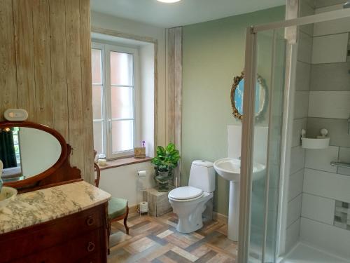 een badkamer met een toilet, een wastafel en een douche bij Sept-Forges Gite in Sept-Forges