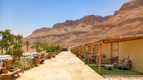 a pathway in the desert with mountains in the background at Ein Gedi Camp Lodge in Ein Gedi