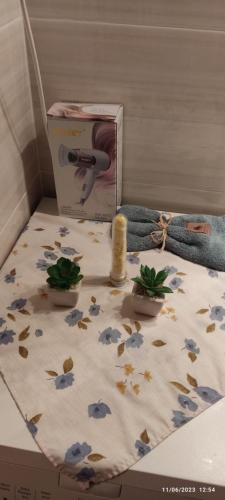 a box with a hair dryer and plants on it at Aunt Vaso Sweet Home in Ptolemaida