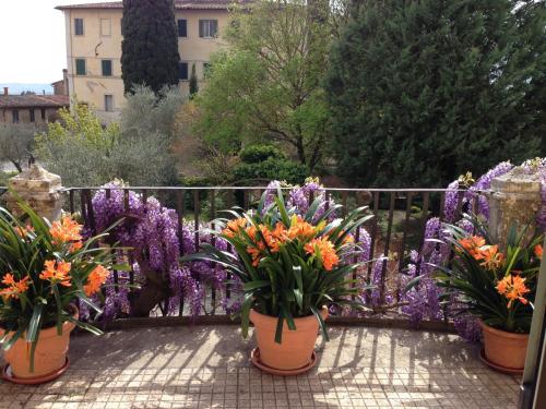 a bunch of flowers in pots in a garden at Hotel Palazzo di Valli in Siena