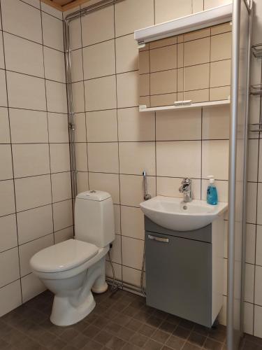 een badkamer met een toilet en een wastafel bij Maalaistalon päätyhuoneisto Merikarvialla in Tuorila