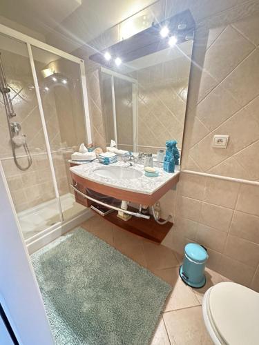 uma casa de banho com um lavatório e um chuveiro em Villa whit garden 10mn from Monaco em La Turbie