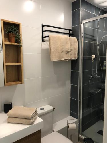 une salle de bain avec toilettes et douche en verre dans l'établissement Joli studio proche de la nature, à La Grande Motte