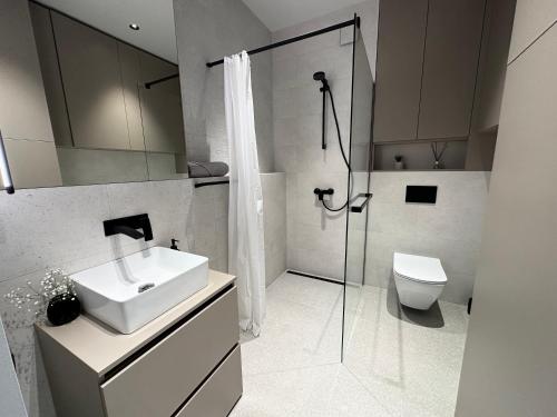 a bathroom with a sink and a shower and a toilet at Silver Apartment in Daugavpils