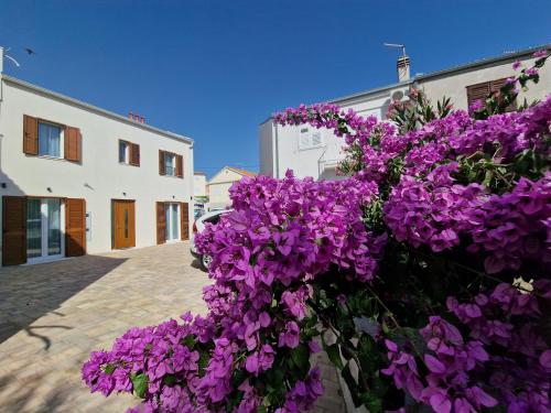 Apartments Miamare
