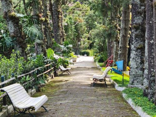 Taman di luar Hotel Bucsky