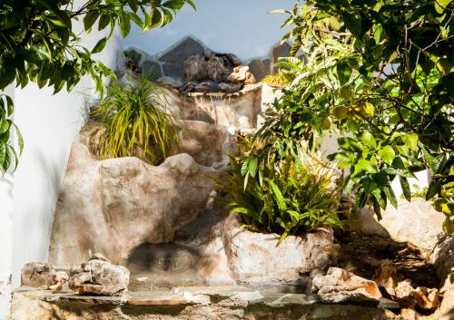 a garden with rocks and plants on top of it at Hostal Casa Mercedes in Nerja