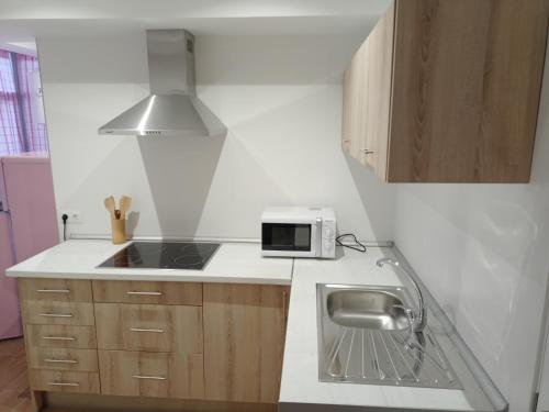 uma pequena cozinha com um lavatório e um micro-ondas em Apartamento_Santa Isabel em Utrera