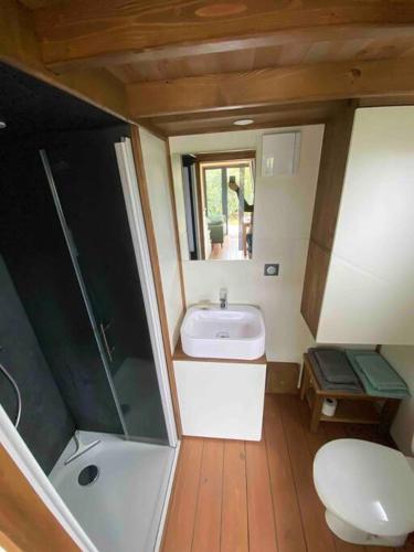 une petite salle de bain avec toilettes et lavabo dans l'établissement Tiny Ker Ael, à Landéda