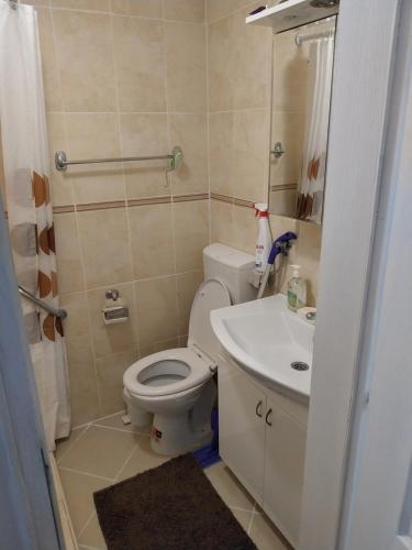 een kleine badkamer met een toilet en een wastafel bij Kod bake u centru in Novi Sad
