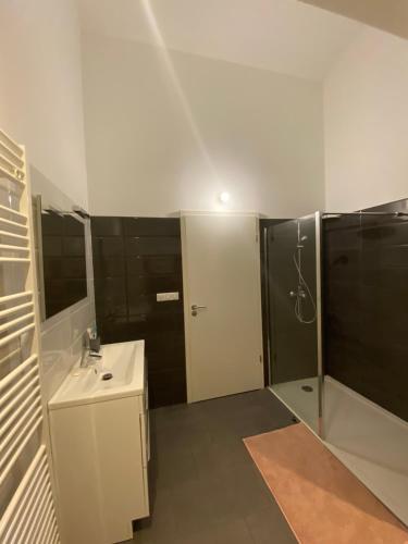 La salle de bains blanche est pourvue d'un lavabo et d'une douche. dans l'établissement Luxury Loft Metz, à Metz