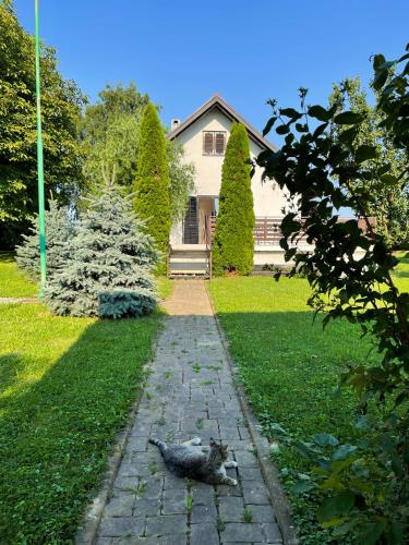 un gato tendido en un camino delante de una casa en Tomasova kuća en Križevci