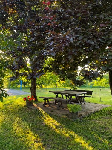 a picnic table under a tree in a park at Tomasova kuća in Križevci
