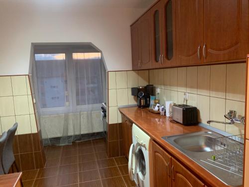 a kitchen with a sink and a washing machine at Cazare Medias, apartament modern in Mediaş