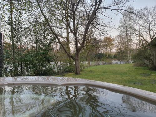 a pool of water in a yard with a tree at Ferienhaus blauer See mit optionalem Hot-Tub in Bockhorn