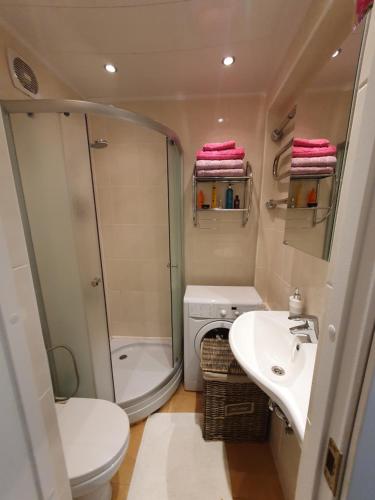 a bathroom with a shower and a toilet and a sink at Cozy centre apartment KKE in Ventspils