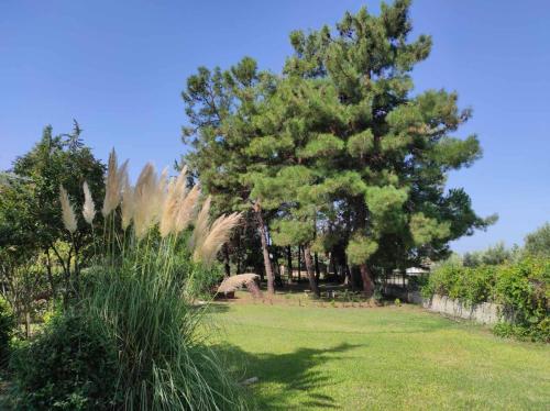 Gallery image of Pond and Pines, by nice house by the sea! in Epanomi