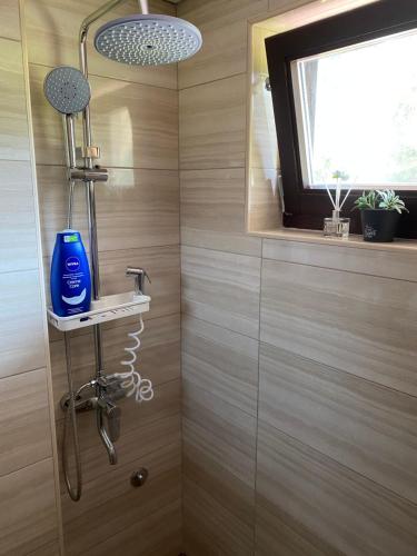 a bathroom with a shower with a blue bottle on a shelf at Apartman BANJA in Višegrad