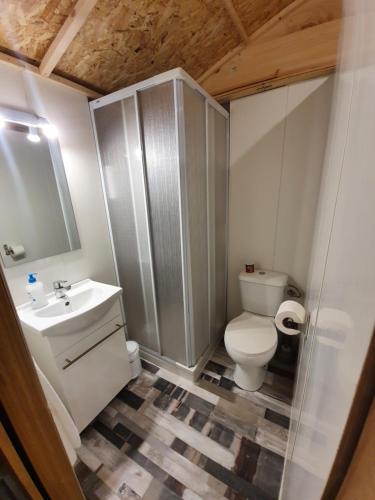 a bathroom with a toilet and a sink and a mirror at La chocita de Tortosa in Tortosa