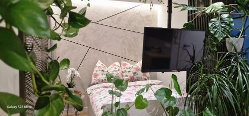 a living room with a tv and some plants at Magic House Apartament Proszowska 58 II in Bochnia