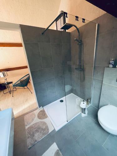 ein Bad mit einer Dusche und einem WC in der Unterkunft Studio au bord de la forêt de Perseigne 