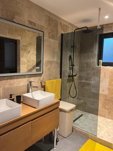 La salle de bains est pourvue d'un lavabo et d'une douche. dans l'établissement Villa Cap Noir piscine chauffée avril à octobre, à Saint-Joseph