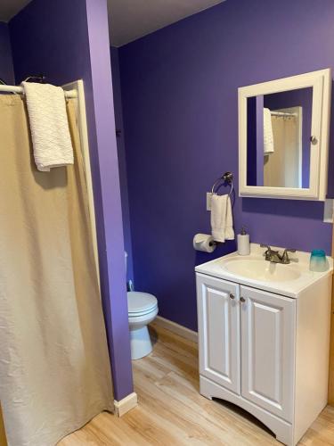 a purple bathroom with a sink and a toilet at Talkeetna Wilderness Lodge & Cabin Rentals in Sunshine