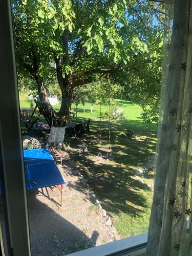 a view from a window of a park with a swing at DreamLand Lagodekhi & Wine Cellar in Lagodekhi