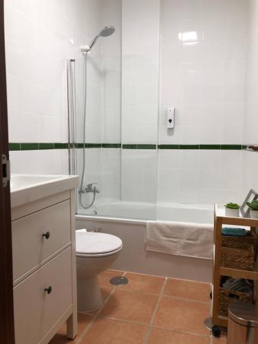 フエンテエリドスにあるALOJAMIENTO RURAL EL CASTAÑOのバスルーム(シャワー、トイレ、バスタブ付)