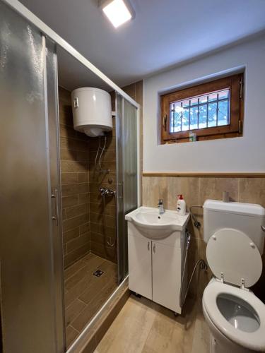 a bathroom with a toilet and a shower and a sink at Best of Ilidza and Rakovica holiday HOME in Sarajevo