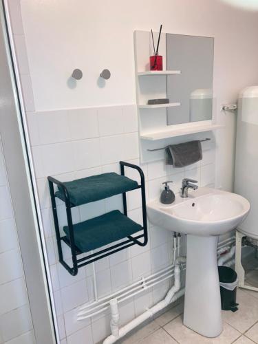 a white bathroom with a sink and a shower at A&J Studio - Bonny sur Loire -Châteaux de Guedelon- Pont Canal in Bonny-sur-Loire