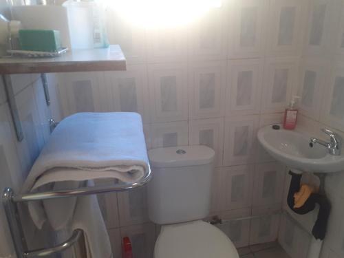 a bathroom with a white toilet and a sink at Carol Cottage Fun in Johannesburg