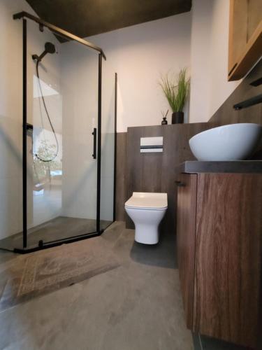 a bathroom with a toilet and a sink and a shower at Loft 66 Apartamenty in Władysławowo