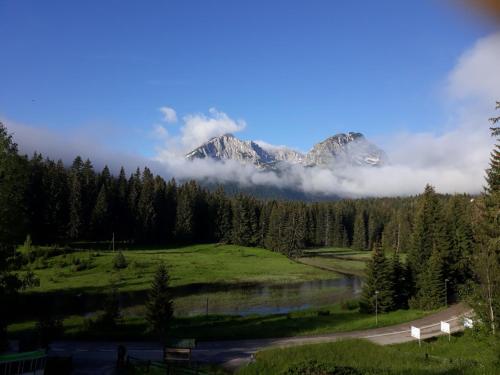 a mountain in the middle of a forest with a lake at WIZARD APARTMENT in Žabljak