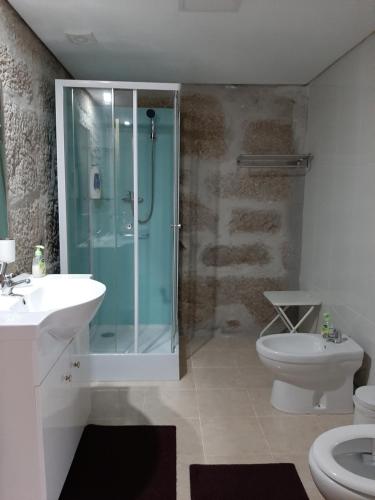a bathroom with a shower and a toilet and a sink at Casa do Loureiro in Paradela