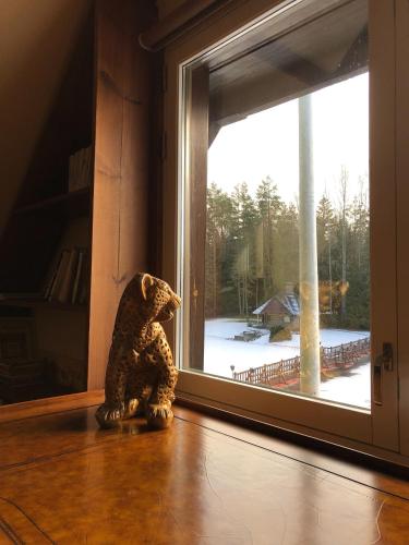 a teddy bear sitting on the floor next to a window at Kid's House in Padure