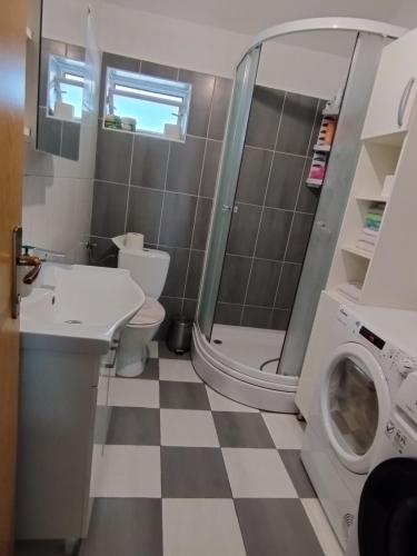 Koupelna v ubytování Misljen apartmants