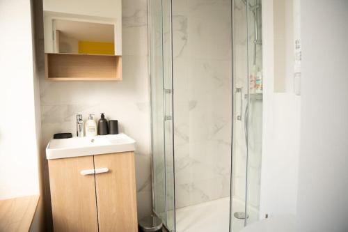 La salle de bains est pourvue d'un lavabo et d'une douche. dans l'établissement MLA Homes - Sunny Foller, à Nancy
