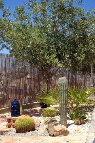 a garden with cactuses and a tree and a fence at Hotel Mayarí Boutique Hotel in Calabardina