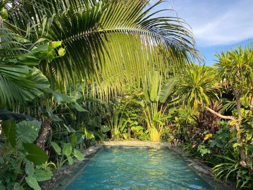 a pool in the middle of a jungle with palm trees at Nhà Lúa Homestay in Ninh Binh