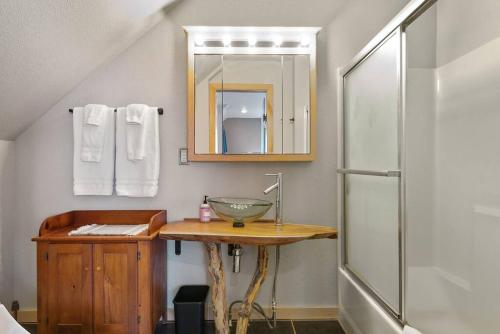 W łazience znajduje się umywalka, lustro i prysznic. w obiekcie Coppertop- Firepit-Skyline Views w mieście Rapid City