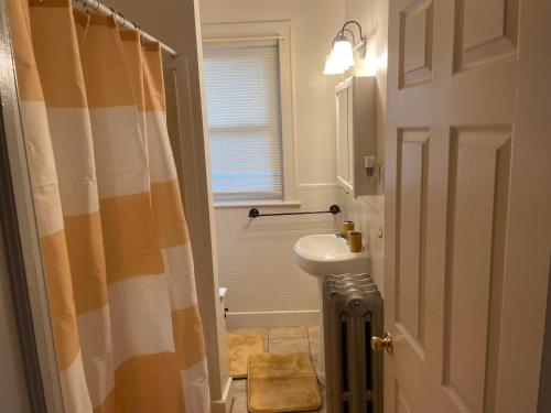 a bathroom with a sink and a shower curtain at A comfortable home for you in Trenton