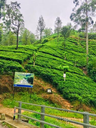 a sign on a hill with tea plantations at Ansi Villa in Nanu Oya